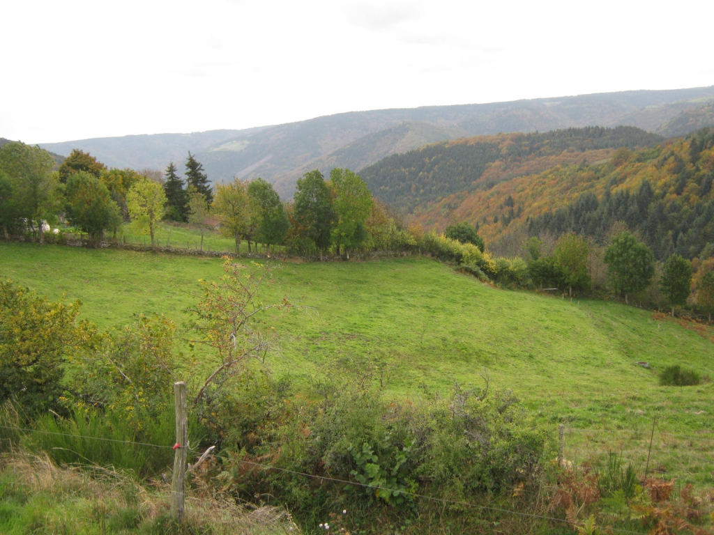 Maisons rondes en paille à Desges